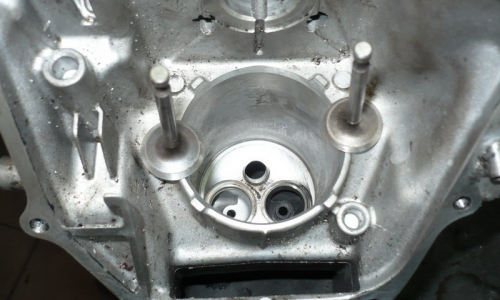 P1040406_resize.JPG